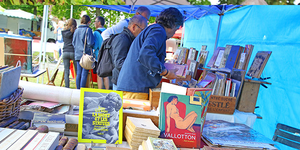 Vue de la fête du livre