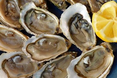 Que faire de ses coquilles d'huîtres ?