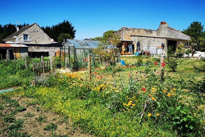 Jardin au naturel : les pratiques vertueuse de Thibaud