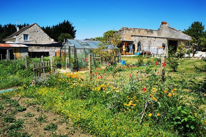 Jardin au naturel : les pratiques vertueuse de Thibaud