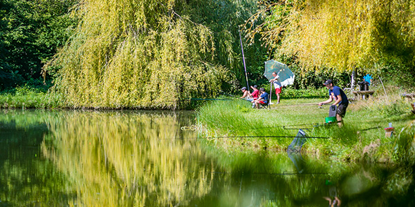 Vue du plan d'eau d'Archigny